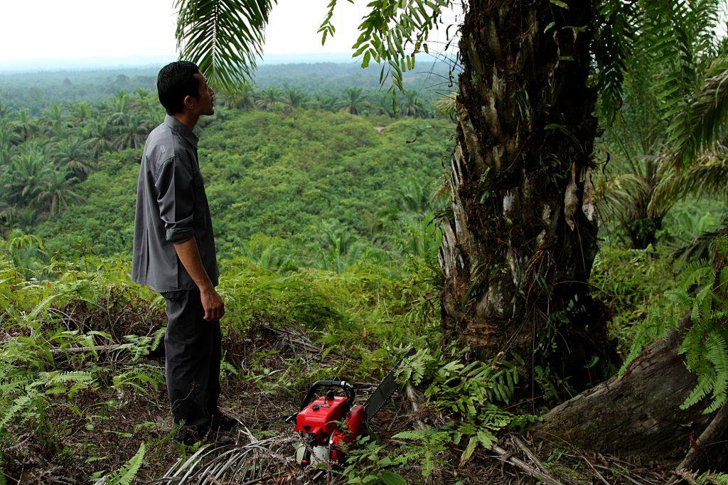 Rudi Putra empezó a desmantelar plantaciones de aceite de palma en 2007./ Laura Villadiego